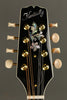 Kentucky KM-505 Mandolin New