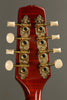 Kentucky KM-505 Mandolin New