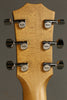 Taylor GT 611e LTD Acoustic Electric Guitar - New