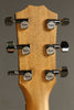 Taylor 210ce Plus Acoustic Electric Guitar - New