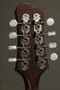 Eastman MD305 Mandolin New
