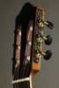 Kremona Romida RD-S Classical Guitar New