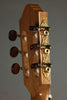 Kremona Fiesta F65CW-SB Nylon String Acoustic Electric Guitar New