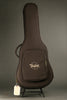 Taylor Guitars 214ce Plus Grand Auditorium Steel String Acoustic Guitar New