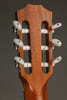 2021 Taylor 214ce-N Nylon String Acoustic Electric Guitar - Used