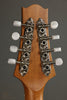 KR Strings Octolindo S Artist Octave Mandolin New