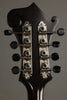 Northfield S Series NFS-F5E Engelmann Mandolin - New