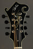 Northfield Artist Series NFA-F51I Italian Spruce Mandolin - New