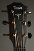 Taylor Guitars 724ce Acoustic Electric Guitar New