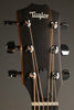 Taylor Guitars 214ce Grand Auditorium Steel String Acoustic Guitar New