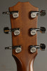 Taylor Guitars 514ce Urban Ironbark Acoustic Electric Guitar New