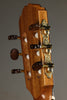 Kremona Fiesta F65CW TLR Nylon String Acoustic-Electric Guitar New