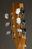 Taylor Guitars 214ce-N Nylon String Acoustic Guitar New