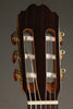 Kremona Rondo R65CWC Nylon String Acoustic-Electric Guitar New