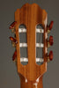 Kremona Rondo R65CWC Nylon String Acoustic-Electric Guitar New