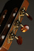 Kremona Rondo R65CWC Nylon String Acoustic-Electric Guitar New
