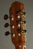 Kremona Verea Nylon String Acoustic Electric Guitar New