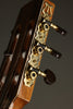 2023 Kremona Lulo Reinhardt Kiano Signature Acoustic Electric Guitar Used