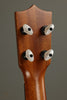 Kamaka HB-2 D Concert Bell Shape Deluxe Ukulele New