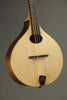 Red Valley AMW Mandolin New