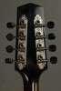 Northfield A5 Special NFMSP-A5WN Wide Nut Mandolin - New