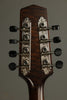 Northfield M Series NFM-A5 Mandolin - New