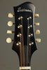 Eastman MD505 MD5 Series Limited Edition Mandolin New