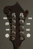 Eastman MD315 Mandolin New