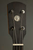 ODE Magician 12" Mahogany 5-String Open Back Banjo New