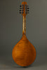 Northfield A5 Special NFMSP-A5 Mandolin - New