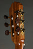 Kremona Fiesta TLR Nylon String Acoustic-Electric Guitar - New