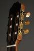 Kremona Sofia S63CW Nylon String Acoustic Electric Guitar -  New