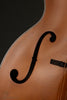 Northfield Archtop Octave NFO-AT2 Mandolin - New