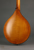 Northfield The WaveLength Octave NFO-AT3 Ox Amber Mandolin - New