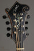 Northfield Artist Series NFA-F51I 5-Bar Bracing Mandolin - New