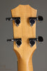 Taylor GS-Mini-e Sapele Acoustic Bass - New
