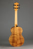 Kamaka HF-3 Tenor Deluxe with Case - New