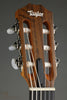Taylor Academy 12e-N Nylon String Acoustic Electric Guitar - New