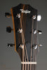 Taylor 212ce Acoustic Electric Guitar - New