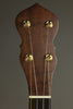 C. Waldman 12" Chromatic Step Side Openback Banjo New