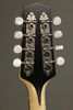2022 Pava A-4 Satin Mandolin Used