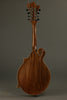 David Cohen F5 Style Walnut Mandolin New