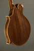 David Cohen F5 Style Walnut Mandolin New