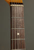 2001 Fender Muddy Waters Telecaster Solid Body Electric Guitar
