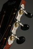 2020 Taylor 712ce 12-Fret Acoustic Electric Guitar- Used