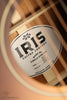 2023 Iris DF Acoustic Guitar- Used