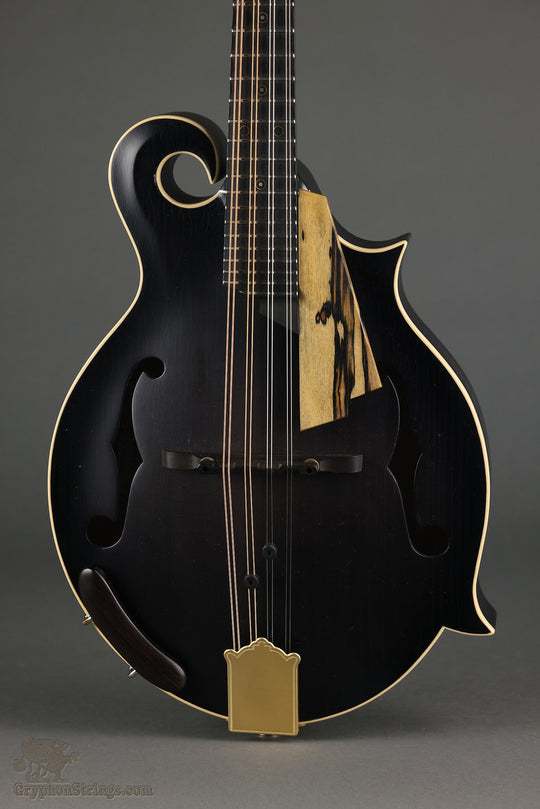 2017 Amesqua F5 Style Mandolin-Used