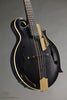 2017 Amesqua F5 Style Mandolin-Used