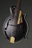 2017 Amesqua F5 Style Mandolin-Used
