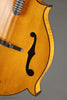 2015 Weber Yellowstone Mandolin-Used